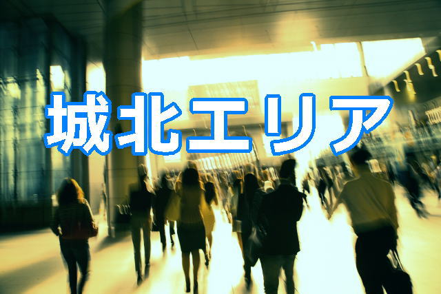 東京の探偵業者数-城北エリア