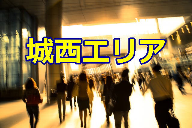 東京の探偵業者数-城西エリア