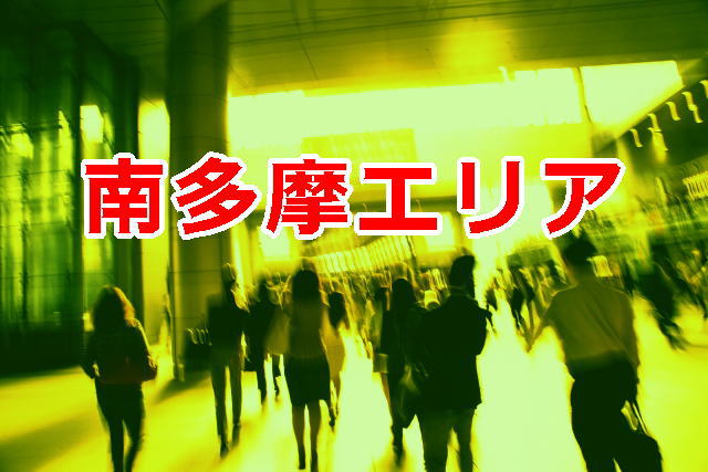 東京の探偵業者数-南多摩エリア