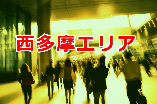 東京の探偵業者数-西多摩エリア